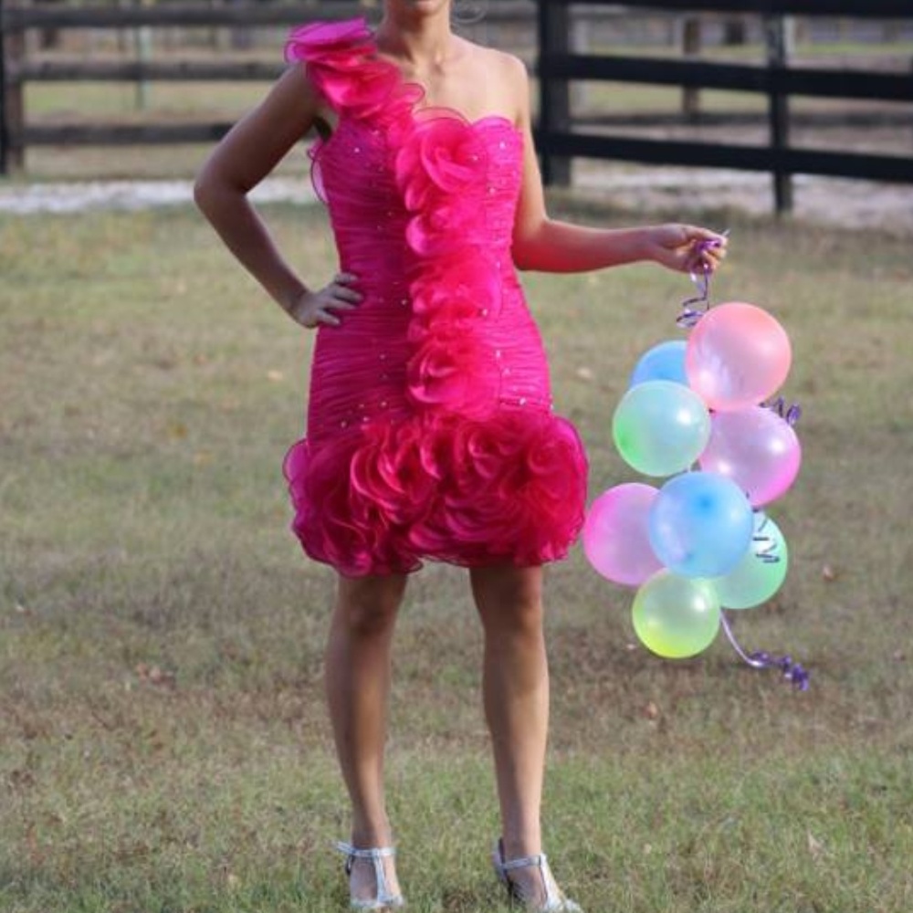 Fuschia Dress